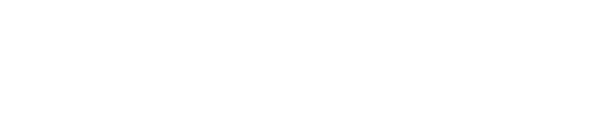 savvylogo